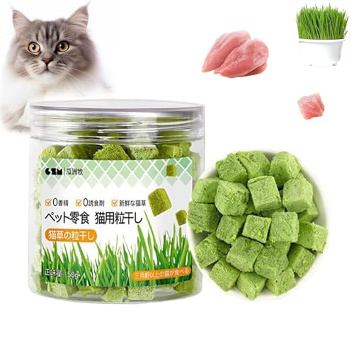 Cat Grass Teething Stick, Cat Grass Teething Sticks for Indoor Cats, Chew Sticks for Cats, Cat Teeth Cleaning Cat Grass Stick, Natural Grass Molar Rod Cat Toy Teeth Cleaner (1Bucket(50g)) von MoliseMeotans