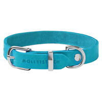 Molly & Stitch "Butter" Leder Hundehalsband [Fiji Blue/Silber - L: 36 - 42 cm x 20 mm] von Molly & Stitch