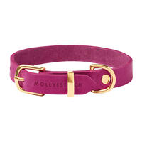 Molly & Stitch "Butter" Leder Hundehalsband [Flamingo/Gold - M: 32 - 38 cm x  20 mm] von Molly & Stitch