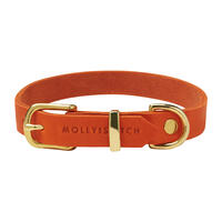 Molly & Stitch Butter Leder Hundehalsband [Mango/Gold - L: 36 - 42 cm x 20 mm] von Molly & Stitch