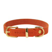 Molly & Stitch Butter Leder Hundehalsband [Mango/Gold - S: 28 - 32 cm x 12 mm] von Molly & Stitch