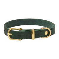 Molly & Stitch Butter Leder Hundehalsband [Waldgrün/Gold - M: 32 - 38 cm x  20 mm] von Molly & Stitch