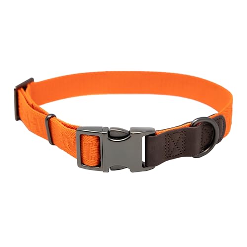 Momarsh Verstellbares Hundehalsband (38,1 - 58,4 cm), rostfreier Edelstahl und Zinklegierung, widersteht harten Bedingungen im Freien, Hunter Orange von Momarsh