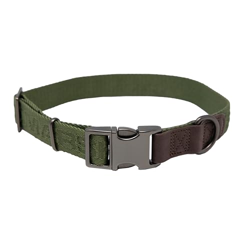 Momarsh Verstellbares Hundehalsband (38,1 - 58,4 cm), rostfreier Edelstahl und Zinklegierung, widersteht harten Bedingungen im Freien, Zypressengrün von Momarsh