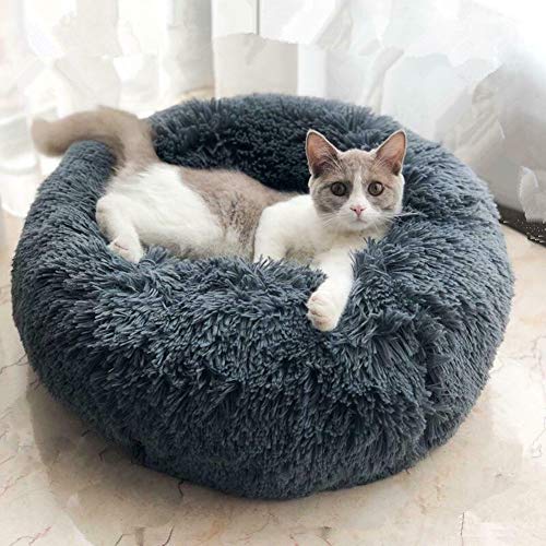 Haustierbett Deluxe, Katzen- Und Hundebett, Super Soft Cushion Round Oder Oval Donut Nesting Cave Bed Schlafbett Für Katzen Und Welpen-50cm-Dunkelgrau von Monb