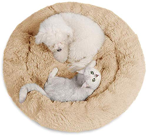 Monb Weich Hundebett Warm Plüsch Haustierbett Waschbar Hundesofa Runde Katzenbett für Klein Kissen Hunde Mittelgroße und große Hunde Katzen-60cm-Hellgelb von Monb