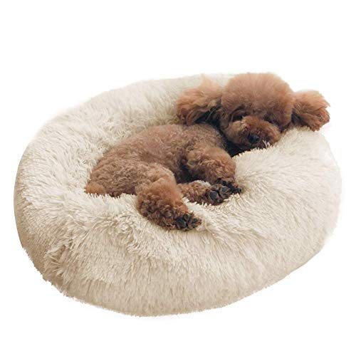 Monba Hundesofa Waschbar Haustierbett Rundes Plüsch Hundebett Katzenbett für Katzen und Hunde Doughnut-Form Farbe und Größe Optional-60cm-Weiß von Monba