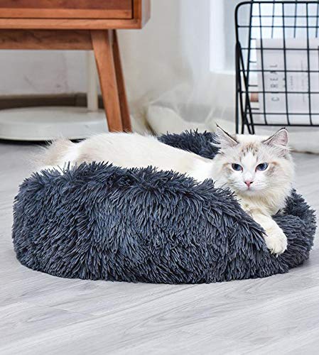 Monba Katzenbett, warme tierbett katzenbett/Katzen bettchen/Katzenschlafenbett in Doughnut-Form/Haustierbett für das Katzenkätzchenschlafen-60cm-Grau von Monba