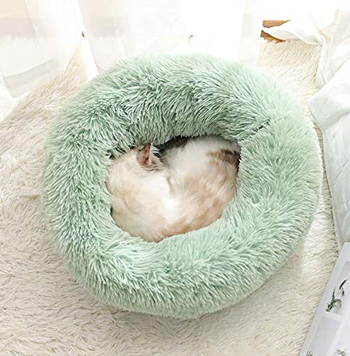 Monba Katzenbett, warme tierbett katzenbett/Katzen bettchen/Katzenschlafenbett in Doughnut-Form/Haustierbett für das Katzenkätzchenschlafen-60cm-Grün von Monba