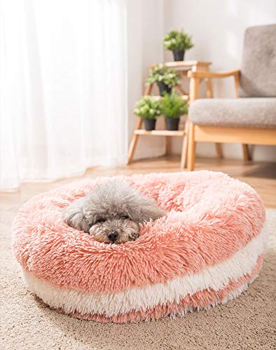 Monba Katzenbett Süß Doughnut Katzensofa Rundes Plüsch Haustier Komfortbett Waschbar Teddy Hundehöhlen Weich Schlafplatz für Katzen und Kleine, Mittelgroße Welpen von Monba