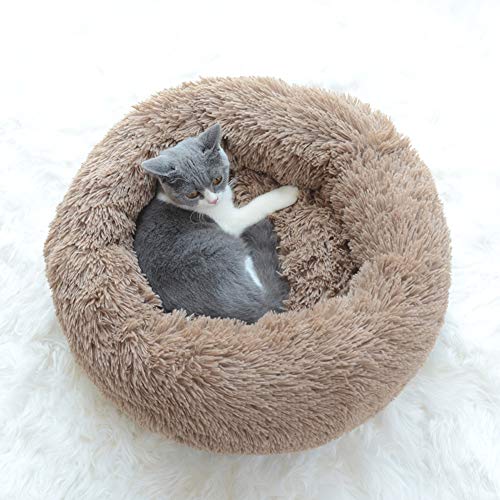 Monba Premium Orthopädisch Hundebett mit Abnehmbarer Waschbeständiger Bezug Chihuahua Katze Welpen Tierkissen Weich Gepolstert Hundekorb von Monba