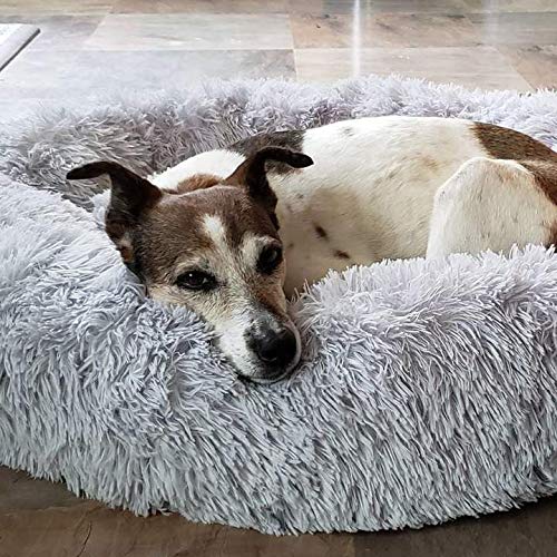 Monba Runde Hundekorb Schöne Tierbett Kleine Hunde Katzen Waschbar Kissen Weich Haustier Bett Doughnut-Form Plüsch Hundesofa-50cm-Hellgrau von Monba