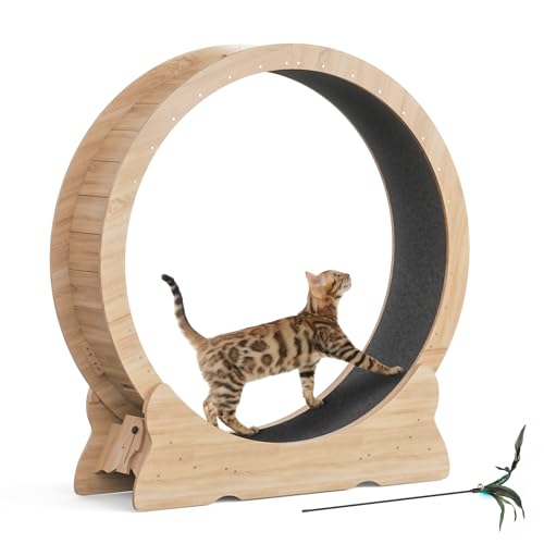 Mondeer Katzenlaufrad für Indoor-Katze, 110cm Laufband mit Abnehmbaren Teppichboden für Katzen Holzlaufrad Laufrad für Kleines Mittel Großes Katze Fitness-Gewichtsverlust-Gerät, Naturholz von Mondeer