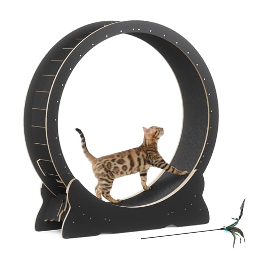 Mondeer Katzenlaufrad für Indoor-Katze, 110cm Laufband mit Abnehmbaren Teppichboden für Katzen Holzlaufrad Laufrad für Kleines Mittel Großes Katze Fitness-Gewichtsverlust-Gerät, Schwarz von Mondeer