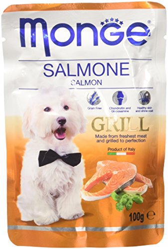 Monge Grill SALMONE Nassfutter für Hunde (getreidefreies Hundefutter mit Lachs, hochwertiges Hundefeuchtfutter mit frischem Fleisch, Nassfutter Hund, sehr Ballaststoff- & Vitaminreich, 100 g) von Monge