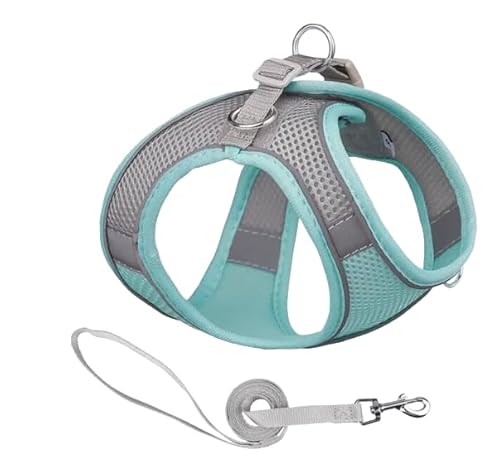 ComfortFit Dog Harness - Breathable Mesh Vest with Reflective Strips, Adjustable Soft Harness for Safe and Easy Control - Lightweight and Quick to Put On, Grün und Grau-Green and Gray von Mongohlah