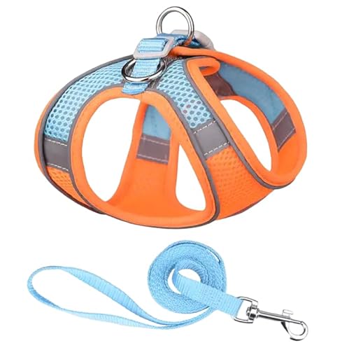ComfortFit Dog Harness - Breathable Mesh Vest with Reflective Strips, Adjustable Soft Harness for Safe and Easy Control - Lightweight and Quick to Put On. Orange and Blue - Orange und Blau von Mongohlah