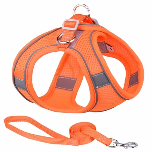 Monkimau Atmungsaktives Hundegeschirr mit Leine | Mesh und Nylon | Ideal für kleine Hunde und Katzen | Größe XXS bis L (Orange, L) von Monkimau