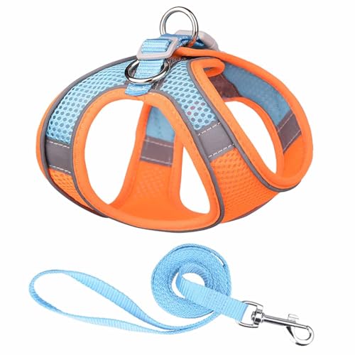 Monkimau Atmungsaktives Hundegeschirr mit Leine | Mesh und Nylon | Ideal für kleine Hunde und Katzen | Größe XXS bis L (Orange-Blau, L) von Monkimau