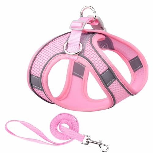 Monkimau Atmungsaktives Hundegeschirr mit Leine | Mesh und Nylon | Ideal für kleine Hunde und Katzen | Größe XXS bis L (Pink, M) von Monkimau