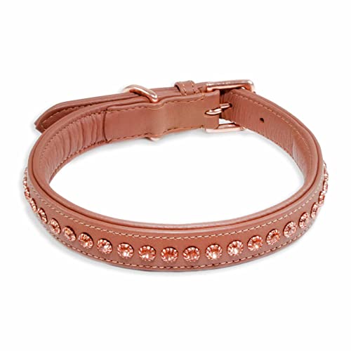 Monkimau Halsband Hund echt Leder Hunde Halsbänder braun gepolstert mit Kristallen Lederhalsband verstellbar Dog Collar Hundehalsband (L-M: 25mm x 60cm) von Monkimau