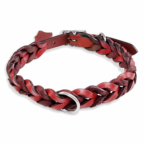 Monkimau Halsband Hund echt Leder Hunde Halsbänder rot geflochten Lederhalsband verstellbar Dog Collar Hundehalsband (M-S: 20mm x 50cm) von Monkimau