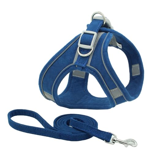 Monkimau Hundegeschirr mit Leine für kleine Hunde - Komfortables Weiches Geschirr, Ideal für Kleine bis Mittelgroße Hunde und Katzen, Türkis XXXS (Blau, XL) von Monkimau