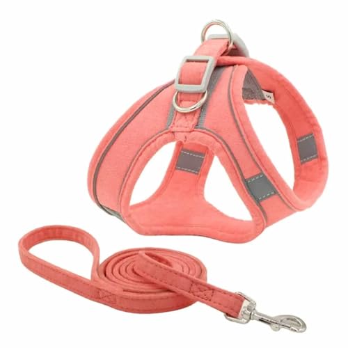 Monkimau Hundegeschirr mit Leine für kleine Hunde - Komfortables Weiches Geschirr, Ideal für Kleine bis Mittelgroße Hunde und Katzen, Türkis XXXS (Pink, L) von Monkimau