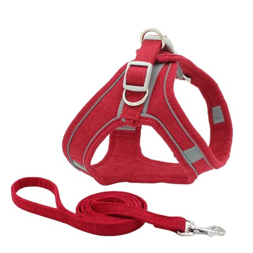 Monkimau Hundegeschirr mit Leine für kleine Hunde - Komfortables Weiches Geschirr, Ideal für Kleine bis Mittelgroße Hunde und Katzen, Türkis XXXS (Rot, XL) von Monkimau