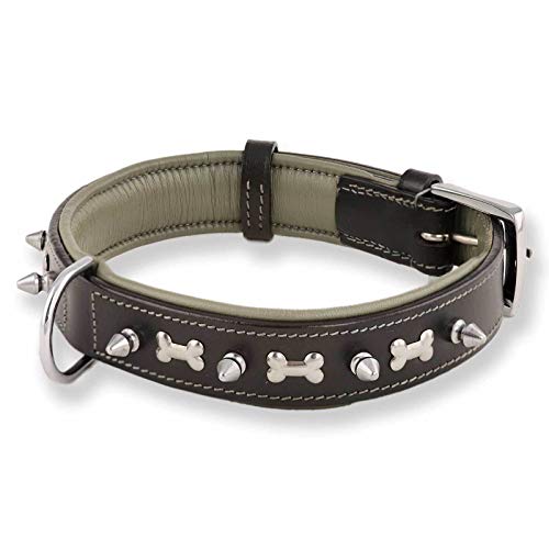 Monkimau Hundehalsband, Nieten und gepolstert, Schwarz, XL 52-62 cm von Monkimau