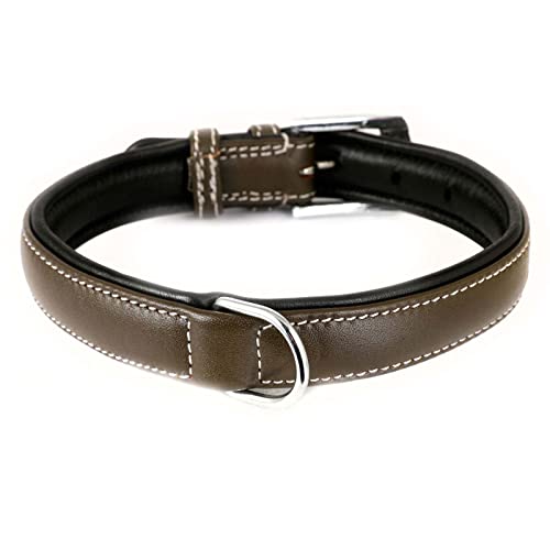 Monkimau Hundehalsband aus Leder Halsband für Hunde Lederhalsband weich gepolstert (XS-S, braun) von Monkimau