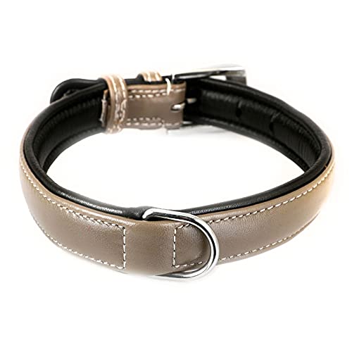 Monkimau Hundehalsband aus Leder Halsband für Hunde Lederhalsband weich gepolstert (M, grau) von Monkimau