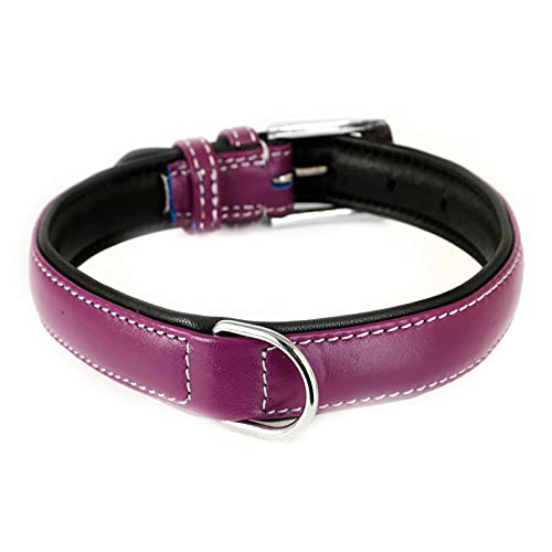 Monkimau Hundehalsband aus Leder Halsband für Hunde Lederhalsband weich gepolstert (S, lila) von Monkimau