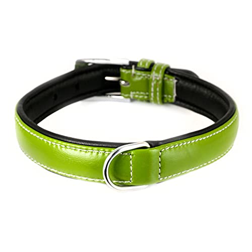 Monkimau Hundehalsband aus Leder Halsband für Hunde Lederhalsband weich gepolstert (M, grün) von Monkimau