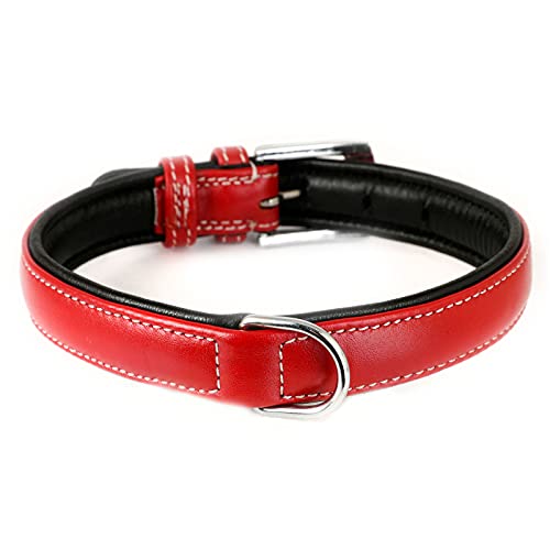 Monkimau Hundehalsband aus Leder Halsband für Hunde Lederhalsband weich gepolstert (M, rot) von Monkimau