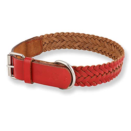 Monkimau Lederhalsband für Hunde, geflochtenes Halsband, Rot (30mm x 50cm) von Monkimau