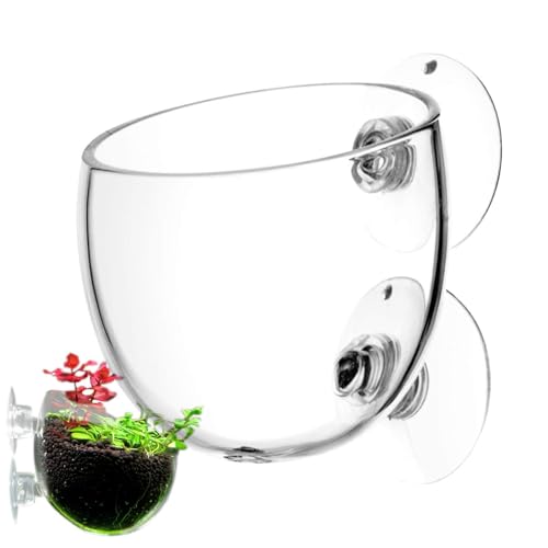 Monozoz Aquarium-Pflanzbecher | Glas-Wasser-Pflanztopf mit Saugnäpfen | Wasser-Pflanzgefäß, lebende Pflanzen, Aquarium-Dekoration für Aquarium von Monozoz