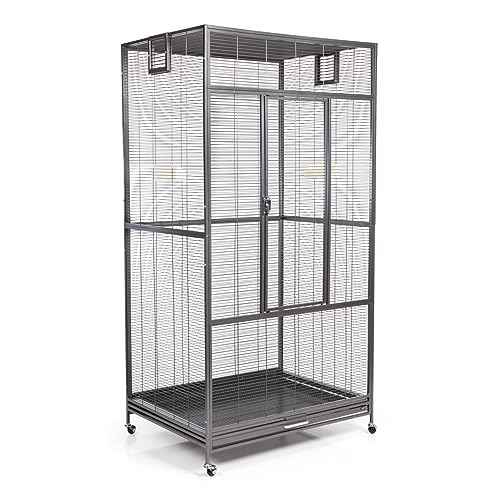 Montana Cages | Premium Voliere New Sydney I Vogelkäfig für Sittiche und kleine Papageien, inkl. 2 Näpfe, 4 Lenkrollen, AVILON Pulverbeschichtung, Antik Edition, ca. 90 x 70 x 180cm von Montana Cages