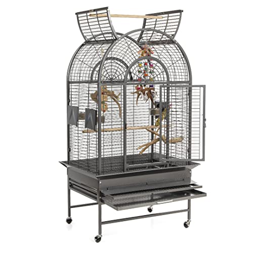 Montana Cages | Papageienkäfig, Designkäfig, Käfig, Zimmervoliere New Jersey - Antik für Papageien von Montana Cages