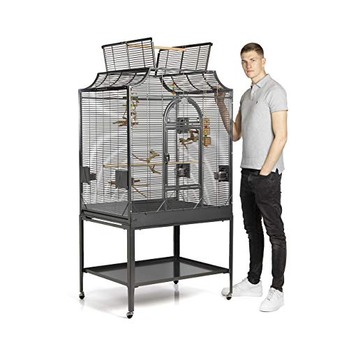 Montana Cages | Premium Vogelkäfig Madeira III großer Vogelkäfig für Sittiche, inkl. Anflugklappe, Freisitz, 4 Edelstahlnäpfe, AVILON Pulverbeschichtung, Antik Edition, ca. 90 x 70 x 170cm von Montana Cages