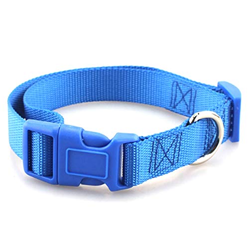 Moonbaby Hundehalsband mit Schnappschnalle Blau L von Moonbaby