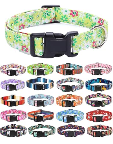 Moonpet Hundehalsbänder für Welpen, XS, klein, mittel, große Hunde – Unisex, niedliches Design, Jungen, Mädchen, Hundehalsband, weich, verstellbar, Bohemia, ausgefallen, floral, Hundehalsbänder, Grün von Moonpet