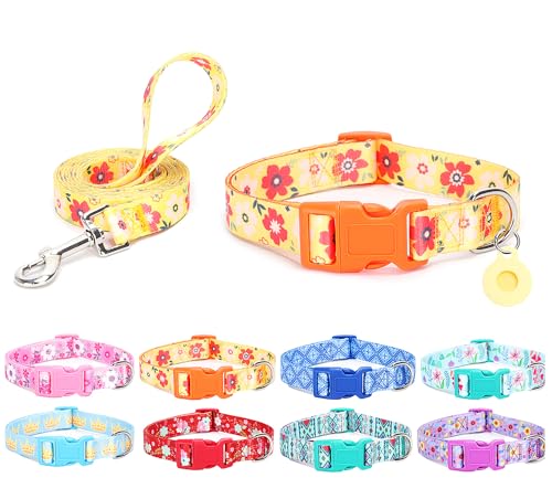 Moonpet Hundehalsband mit Leine und Airtag-Halterung, atmungsaktiv, verstellbar, langlebig, für männliche, weibliche Welpen, XS, kleine, mittelgroße und große Hunde, Spazierengehen, Laufen, Training, von Moonpet