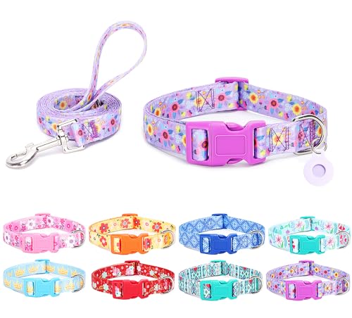 Moonpet Hundehalsband mit Leine, Airtag-Halterungs-Set, atmungsaktiv, verstellbar, langlebig, für männliche und weibliche Welpen, XS, kleine, mittelgroße und große Hunde, Spazierengehen, Laufen, von Moonpet