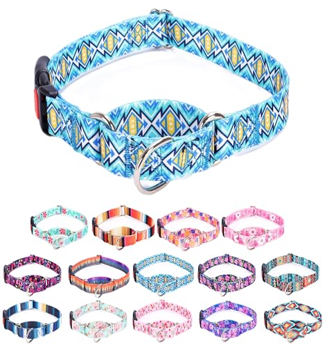 Moonpet Martingale Halsband für Hunde, verstellbar, weich, langlebig, für kleine, mittelgroße und große Jungen und männliche Hunde, kein Ziehen, rutschfeste Sicherheitsschnalle, Hundehalsband, blaues von Moonpet