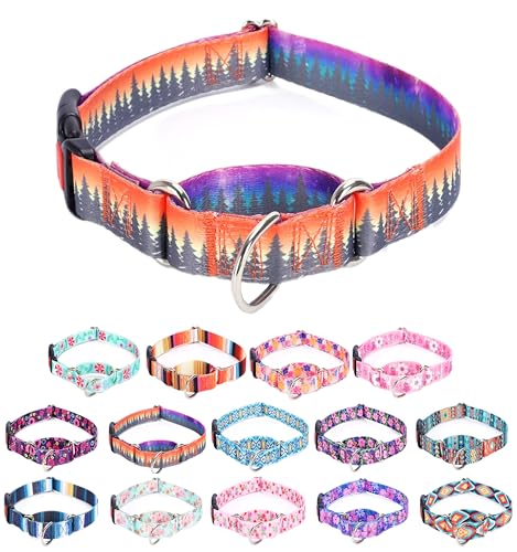 Moonpet Martingale Halsband für Hunde, verstellbar, weich, langlebig, für kleine, mittelgroße und große Jungen und männliche Hunde, kein Ziehen, rutschfeste Sicherheitsschnalle, Hundehalsband, Wald / von Moonpet