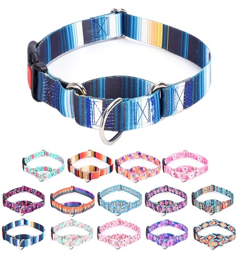 Moonpet Martingale Halsband für Hunde, verstellbar, weich, langlebig, für kleine, mittelgroße und große Jungen und männliche Hunde, kein Ziehen, rutschfeste Sicherheitsschnalle, Hundehalsband, Blau von Moonpet