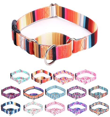 Moonpet Martingale Halsband für Hunde, verstellbar, weich, langlebig, für kleine, mittelgroße und große Jungen und männliche Hunde, kein Ziehen, rutschfeste Sicherheitsschnalle, Hundehalsband, Orange von Moonpet