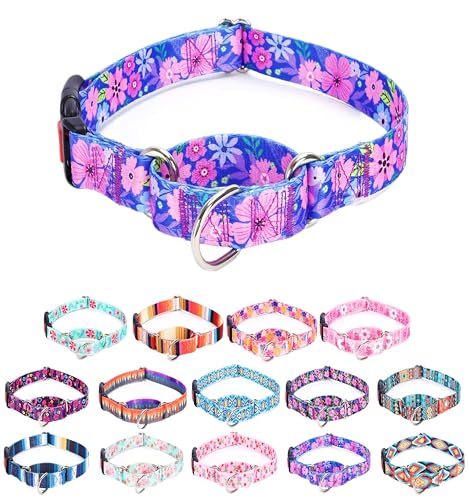 Moonpet Martingale Halsband für Hunde, verstellbar, weich, langlebig, für kleine, mittelgroße und große Jungen und männliche Hunde, kein Ziehen, rutschfeste Sicherheitsschnalle, Hundehalsband, dunkle von Moonpet