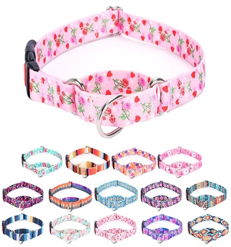 Moonpet Martingale Halsband für Hunde, verstellbar, weich, langlebig, für kleine, mittelgroße und große Jungen und männliche Hunde, kein Ziehen, rutschfeste Sicherheitsschnalle, Hundehalsband, von Moonpet